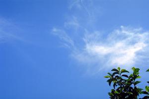 浜松市中央区の家族葬・個別葬儀に最適な富士葬祭 高林：安心の葬儀サービスと豊富な設備を誇る斎場