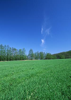 タイトル生成エラー