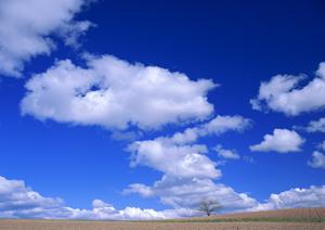 静岡県富士宮市の家族葬を安心・高品質で提供する富士葬祭の施設とサービス内容